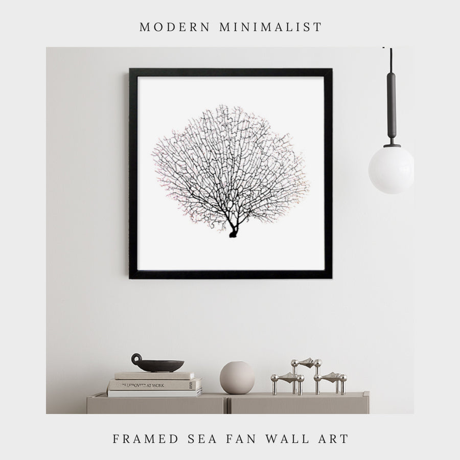 choose your style, shop modern minimalist framed black sea fan wall art